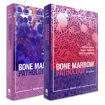 Bone Marrow Pathology 4th Edition