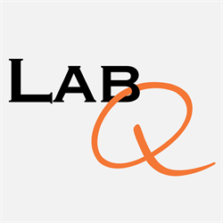 LabQ Clinical Laboratory Volume Online 2022