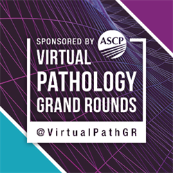 Virtual Pathology Grand Round - Renal Pathology Made Easy: A Concise Review of Medical Renal Pathology with Board Relevant Topics Confirmation