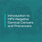 Introduction to HPV-Negative Cervical Cancers and Precancers