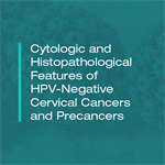 Cytologic and Histopathological Features of HPV-Negative Cervical Cancers and Precancers