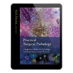 Practical Surgical Pathology: Integrating Molecular Pathology into Your Morphologic Practice eBook