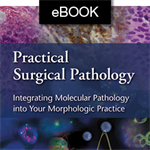 Practical Surgical Pathology: Integrating Molecular Pathology into Your Morphologic Practice eBook